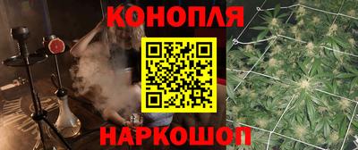 прущие грибы Пенза