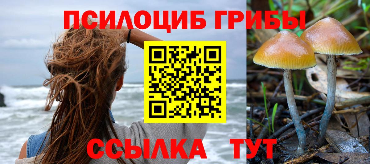 Галлюциногенные грибы Magic Shrooms  Галлюциногенные грибы Psilocybine cubensis  Вход с VPN  Санкт-Петербург 