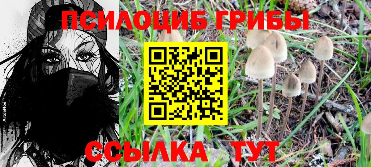 Галлюциногенные грибы GOLDEN TEACHER Санкт-Петербург
